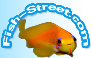  Fish Street優惠券